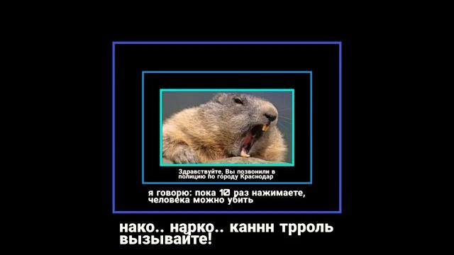 Мужчина в образе бобра Мужчина в образе бобра