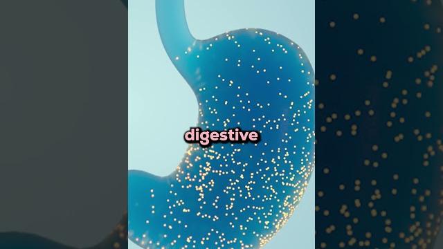 How the Body Absorbs Ibuprofen How the Body Absorbs Ibuprofen