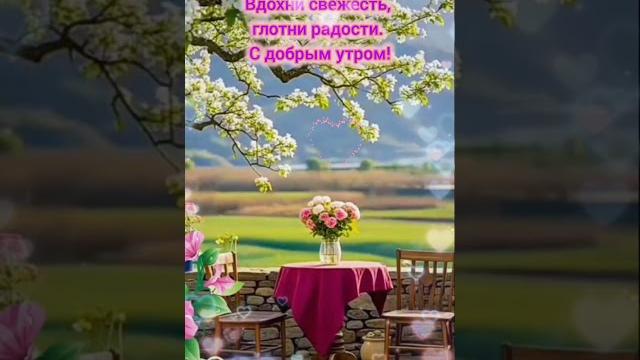 Доброе утро,хорошего дня открытки на каждый день #открытка #доброеутро #видеооткрытка #доброеутречко Доброе утро,хорошего дня открытки на каждый день #открытка #доброеутро #видеооткрытка #доброеутречко