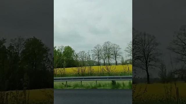 #вид с окна автомобиля#автобан️#shorts #вид с окна автомобиля#автобан️#shorts