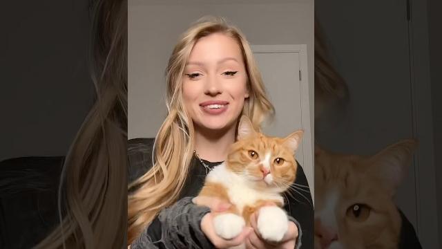 Кот танцует тренд POLI - Котик Кот танцует тренд POLI - Котик