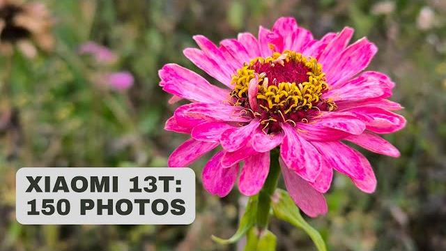 Xiaomi 13T and photography: Review + 150 test photos Xiaomi 13T and photography: Review + 150 test photos