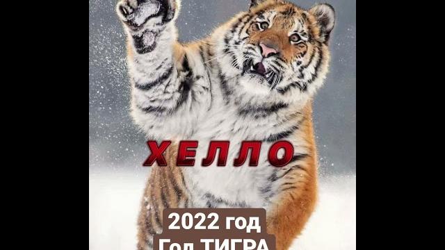 2022 год - год Тигра 2022 год - год Тигра