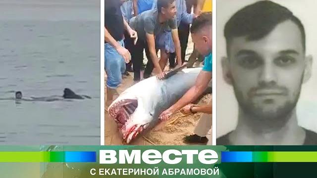 Акула съела россиянина за 20 секунд на глазах у семьи. Страшные кадры и подробности трагедии Акула съела россиянина за 20 секунд на глазах у семьи. Страшные кадры и подробности трагедии