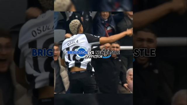 Brighton vs Newcastle Prediction! Brighton vs Newcastle Prediction!