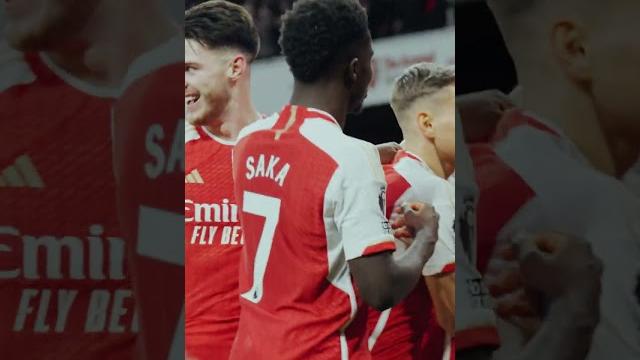 Declan Rice's reaction to Kai Havertz scoring against Brighton & Hove Albion at Emirates Stadium Declan Rice's reaction to Kai Havertz scoring against Brighton & Hove Albion at Emirates Stadium