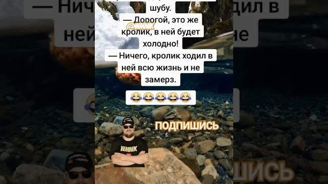 Анекдот про шубу Анекдот про шубу