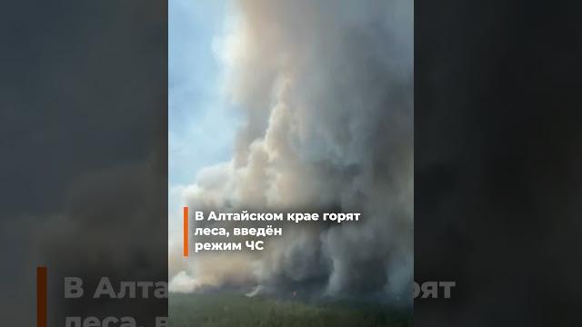 🟠В Алтайском крае горят леса, введён режим ЧС 🟠В Алтайском крае горят леса, введён режим ЧС