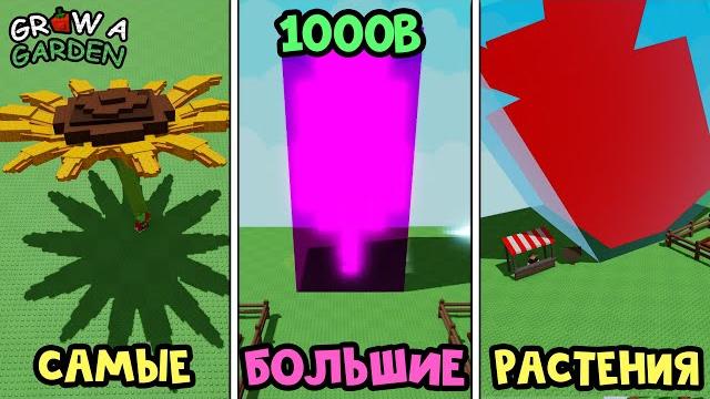 Новые CАМЫЕ БОЛЬШИЕ РАСТЕНИЯ в игре Вырасти сад роблокс | Grow a Garden roblox | Сборник №2 Новые CАМЫЕ БОЛЬШИЕ РАСТЕНИЯ в игре Вырасти сад роблокс | Grow a Garden roblox | Сборник №2