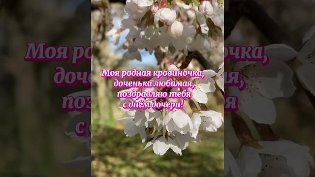 С днём дочери! С днём дочери!