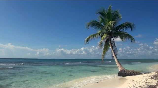 Relaxing 3 Hour Video of A Tropical Beach with Blue Sky White Sand and Palm Tree Relaxing 3 Hour Video of A Tropical Beach with Blue Sky White Sand and Palm Tree