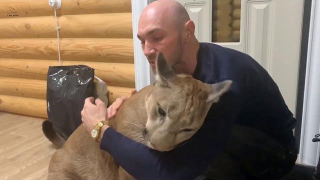 Встреча дня! Пума Месси дождался Папу. Встреча дня! Пума Месси дождался Папу.