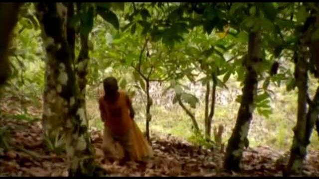 Правда о шоколаде (документальный фильм, Дания, 2010) Правда о шоколаде (документальный фильм, Дания, 2010)
