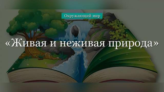 Живая и неживая природа Живая и неживая природа