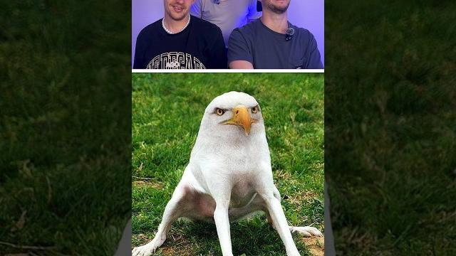 Don't Laugh | 70 Don't Laugh | 70