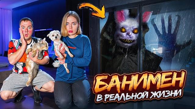 БАНИМЕН В РЕАЛЬНОЙ ЖИЗНИ В НАШЕМ ДОМЕ С КОТОМ И СОБАКОЙ БАНИМЕН В РЕАЛЬНОЙ ЖИЗНИ В НАШЕМ ДОМЕ С КОТОМ И СОБАКОЙ
