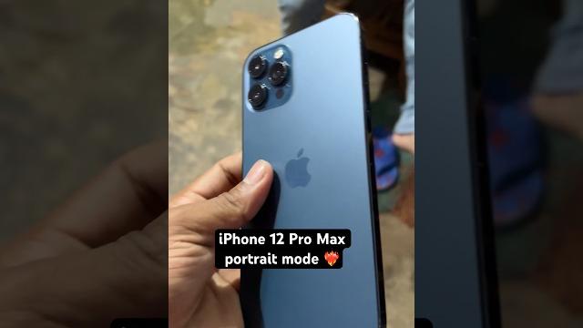 iPhone 12 Pro Max portrait mode in 2023 #shorts #viral iPhone 12 Pro Max portrait mode in 2023 #shorts #viral