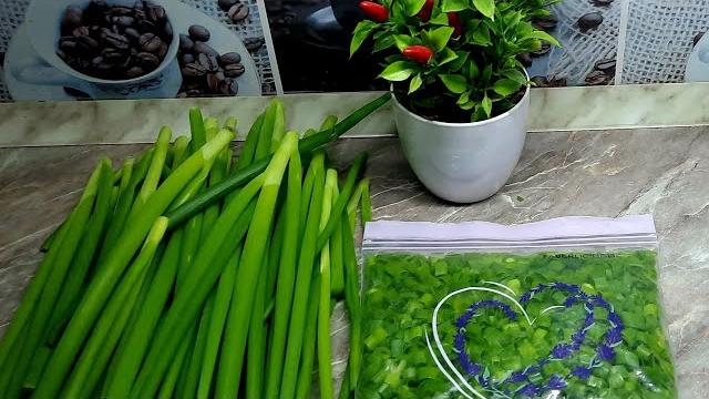 Супер способ заготовки зелёного лука на зиму для пирожков!! Сохраняем вкус, цвет и витамины!! Супер способ заготовки зелёного лука на зиму для пирожков!! Сохраняем вкус, цвет и витамины!!