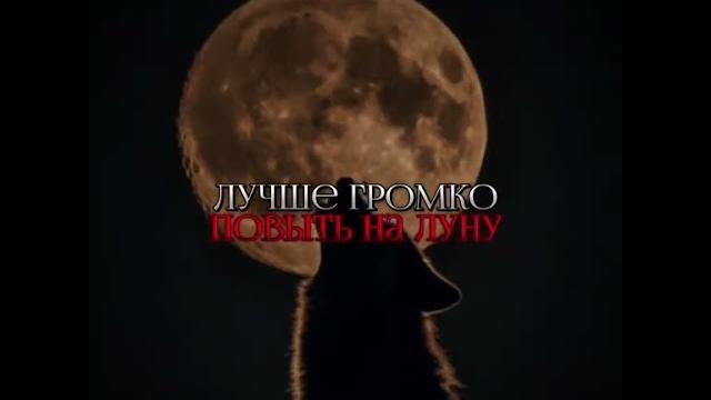 Сектор Газа - Вой на луну #90 -е #панки хой #sektor #юрийклинскихнашземляк #хойжив #музыкадлядуши Сектор Газа - Вой на луну #90 -е #панки хой #sektor #юрийклинскихнашземляк #хойжив #музыкадлядуши