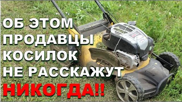 Этого вам не расскажут при покупке газонокосилки! Опыт 5 лет эксплуатации самоходной косилки Чемпион Этого вам не расскажут при покупке газонокосилки! Опыт 5 лет эксплуатации самоходной косилки Чемпион