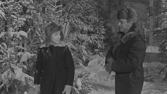 Старый клён - Девчата (1961) - HD Старый клён - Девчата (1961) - HD