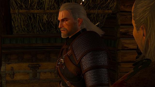 The Witcher 3 (Сирень и Крыжовник) The Witcher 3 (Сирень и Крыжовник)
