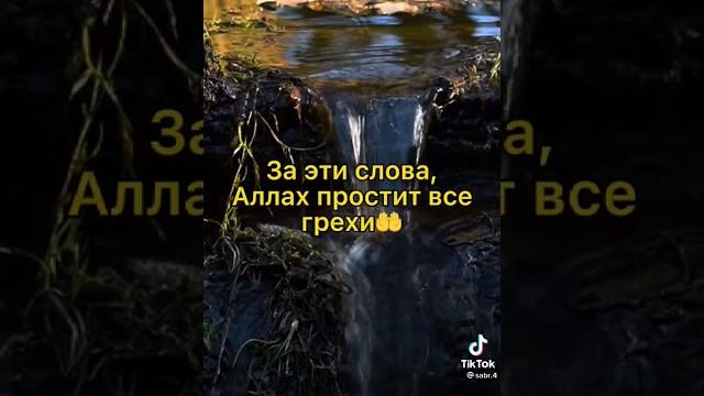 За Эти Слова Аллах простит все грехи ️ За Эти Слова Аллах простит все грехи ️