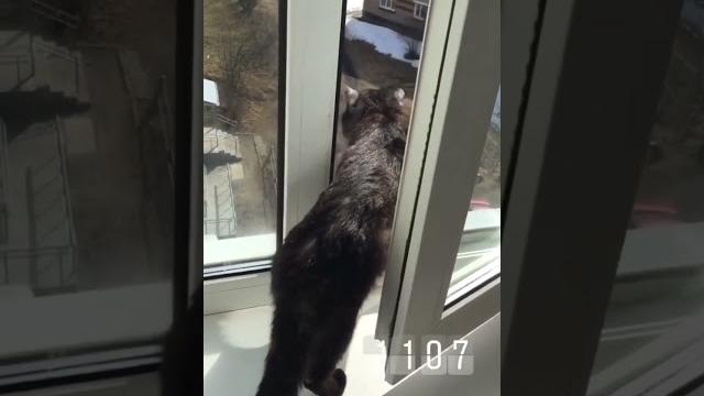 Наружу- не никакой ружи Наружу- не никакой ружи