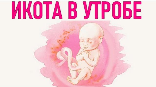 ИКОТА ВО ВРЕМЯ БЕРЕМЕННОСТИ | Правда ли что малыш икает в утробе матери и когда это опасно ИКОТА ВО ВРЕМЯ БЕРЕМЕННОСТИ | Правда ли что малыш икает в утробе матери и когда это опасно