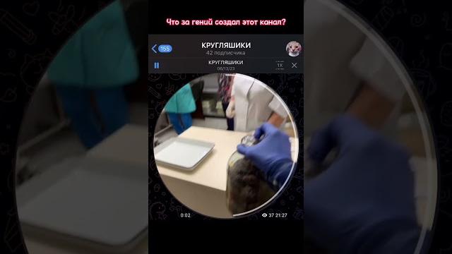 Смешные кружки из телеграмм #shorts #мем #смешно Смешные кружки из телеграмм #shorts #мем #смешно