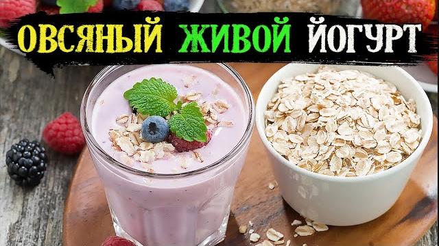 Вкуснее чем в магазине. Овсяный йогурт 3 рецепта Вкуснее чем в магазине. Овсяный йогурт 3 рецепта