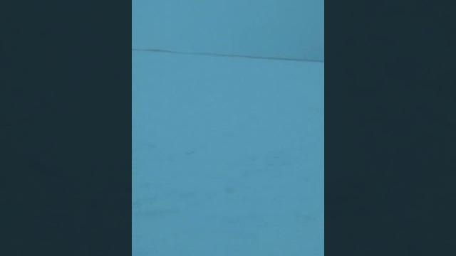 Рыбалка, Новый Уренгой Рыбалка, Новый Уренгой