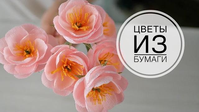 Paper Flower / Простые цветы из бумаги / DIY TSVORIC Paper Flower / Простые цветы из бумаги / DIY TSVORIC