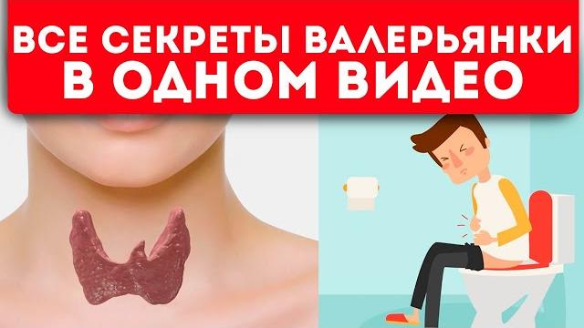Это не знают даже аптекари! 10 применений валерьянки, которые вас точно удивят (4-е — бомба!) Это не знают даже аптекари! 10 применений валерьянки, которые вас точно удивят (4-е — бомба!)