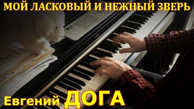 Мой ласковый и нежный зверь - Евгений Дога Мой ласковый и нежный зверь - Евгений Дога