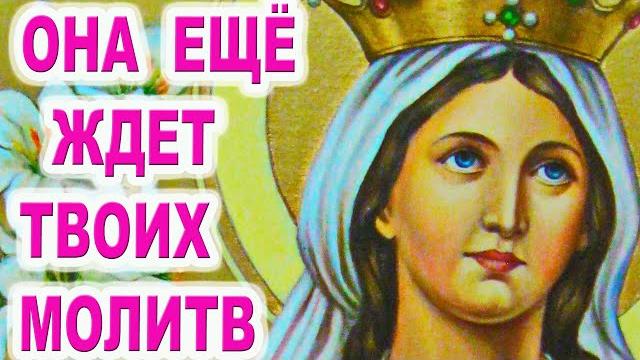 Последний шанс успеть в ее праздник 7 декабря Акафист святой Екатерине великомученице молитва 2-1 Последний шанс успеть в ее праздник 7 декабря Акафист святой Екатерине великомученице молитва 2-1
