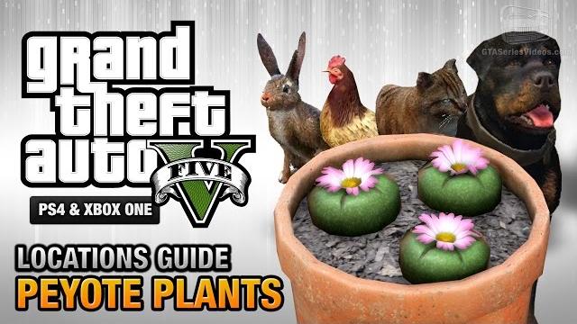 GTA 5 - Peyote Plants Location Guide (Play as an Animal) GTA 5 - Peyote Plants Location Guide (Play as an Animal)