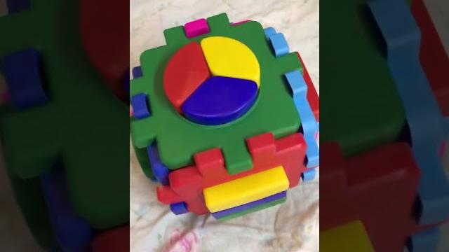 Енот Леня не хочет обучаться, а надо. #pets #animals #video #funny #online #instagram #енот Енот Леня не хочет обучаться, а надо. #pets #animals #video #funny #online #instagram #енот