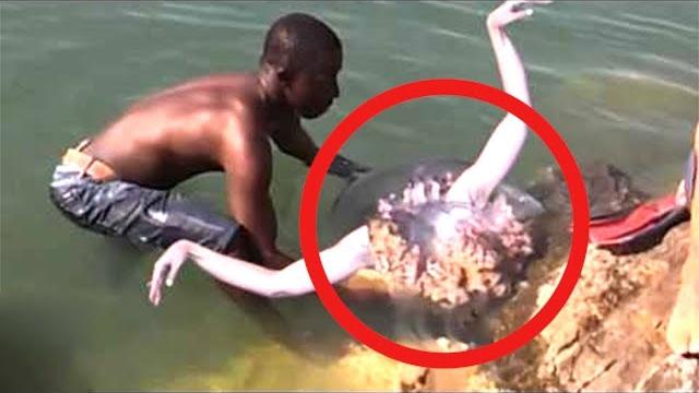 10 Реальных Русалок Снятых на Камеру 10 Реальных Русалок Снятых на Камеру