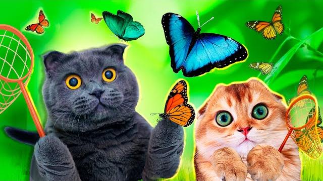КОТИКИ в ШОКЕ от ЭТОГО! БАБОЧКИ РОДИЛИСЬ у НИХ на ГЛАЗАХ! Наши Новые ПИТОМЦЫ - ЖИВЫЕ БАБОЧКИ КОТИКИ в ШОКЕ от ЭТОГО! БАБОЧКИ РОДИЛИСЬ у НИХ на ГЛАЗАХ! Наши Новые ПИТОМЦЫ - ЖИВЫЕ БАБОЧКИ
