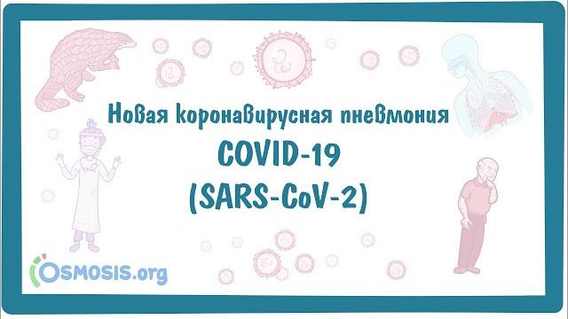 COVID-19 - Новая коронавирусная пневмония COVID-19 - Новая коронавирусная пневмония