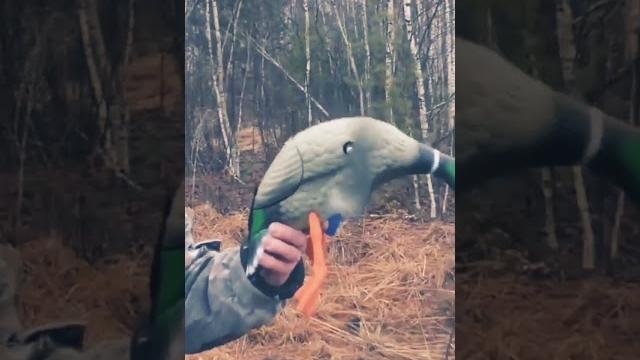Приколы на Охоте! Как мужики на охоту ходили! Приколы на Охоте! Как мужики на охоту ходили!