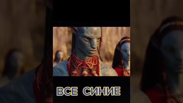 прикол про пьянку прикол про пьянку