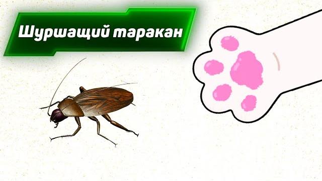 Шуршащий таракан. Видео игра для кошек Шуршащий таракан. Видео игра для кошек