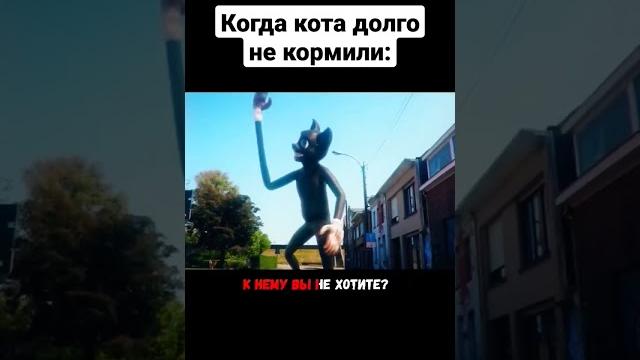 Когда кота долго не кормили #shorts Когда кота долго не кормили #shorts