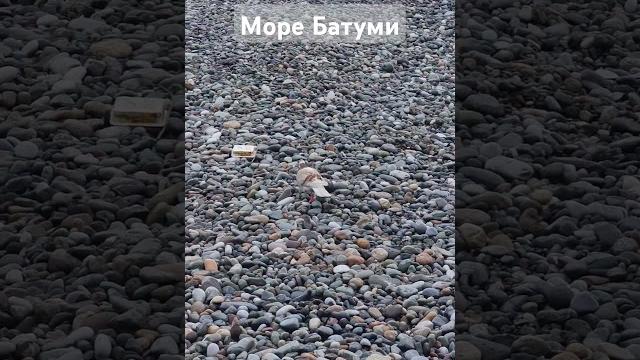 Батуми #საქართველო #грузия #Батуми #batumi #ბათუმი #Georgia #tbilisi #тбилиси #თბილისი #море Батуми #საქართველო #грузия #Батуми #batumi #ბათუმი #Georgia #tbilisi #тбилиси #თბილისი #море