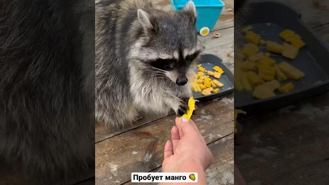 Только послушайте это чавканье… Только послушайте это чавканье…