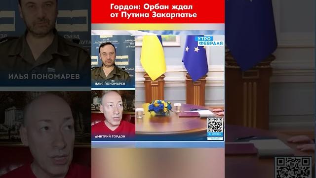 Гордон: Орбан ждал от Путина Закарпатье #shorts Гордон: Орбан ждал от Путина Закарпатье #shorts