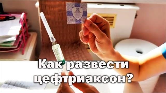 Цефтриаксон: как правильно приготовить инъекцию? Цефтриаксон: как правильно приготовить инъекцию?