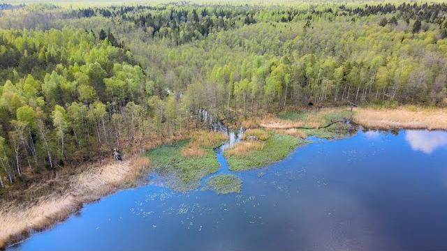 Лесное озеро - вид с дрона. Весеннее настроение. Природа Эстонии (Kurtna, Estonia) aero 4K Лесное озеро - вид с дрона. Весеннее настроение. Природа Эстонии (Kurtna, Estonia) aero 4K